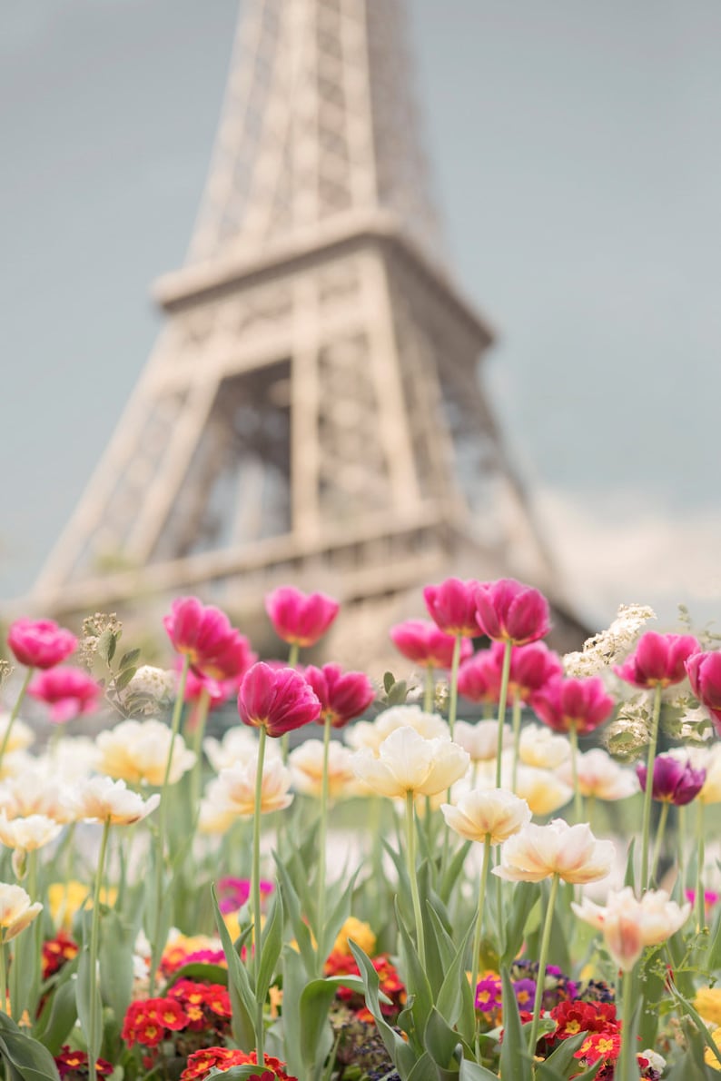 Paris Photography - Tulips at the Eiffel Tower, Paris in Spring, French Home Decor, Large Wall Art image 1