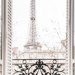 Paris Photography - Winter Afternoon, Paris, Ornate Iron Balcony, Shutters, Architecture Travel Photograph, Large Wall Art, French Decor