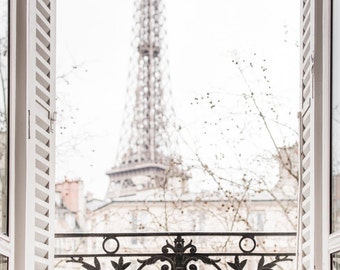 Paris Photography - Winter Afternoon, Paris, Ornate Iron Balcony, Shutters, Architecture Travel Photograph, Large Wall Art, French Decor