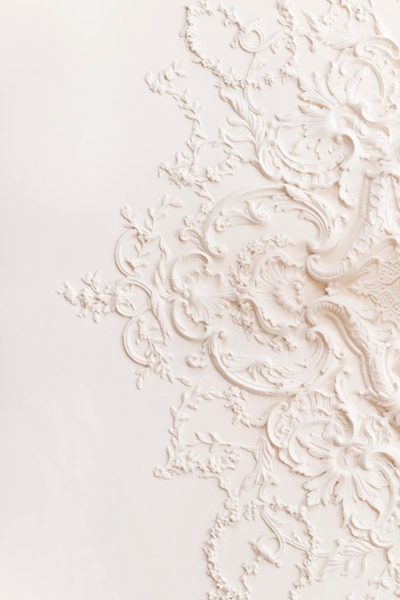 Paris Photograph The Lacework Ceiling, Paris Architecture Detail, Large Wall Art, Neutral French Home Decor, Fine Art Photo image 1