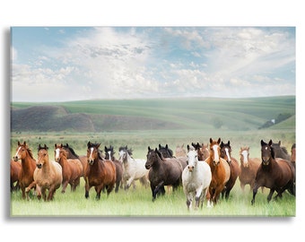 Horses Photo on Canvas, Footloose in the Palouse, Nature Fine Art Gallery Wrapped Canvas, Large Wall Art, Home Decor