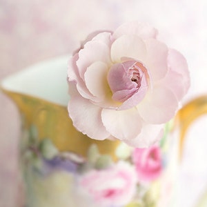 Flower Still Life Photography Rosebud, Roses, Floral Still Life Photo, Romantic Pink Wall Decor image 1