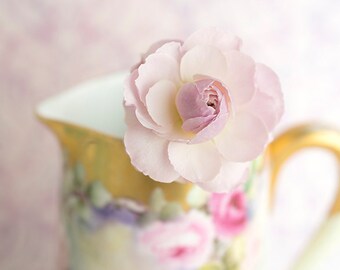 Blumen Stillleben Fotografie - Rosebud, Rosen, Blumen Stillleben Foto, romantische rosa Wand-Dekor