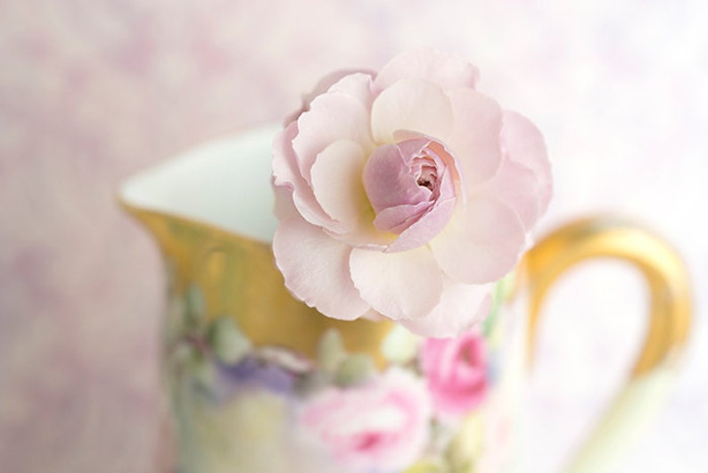 Flower Still Life Photography Rosebud, Roses, Floral Still Life Photo, Romantic Pink Wall Decor image 1