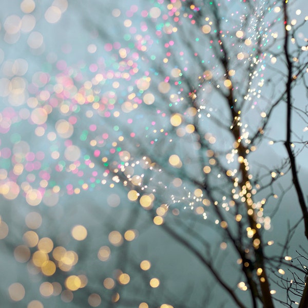 Winter Photography - Holiday Fairy Lights in Trees, Festive Winter Scene, Fine Art Landscape Photograph, Large Wall Art