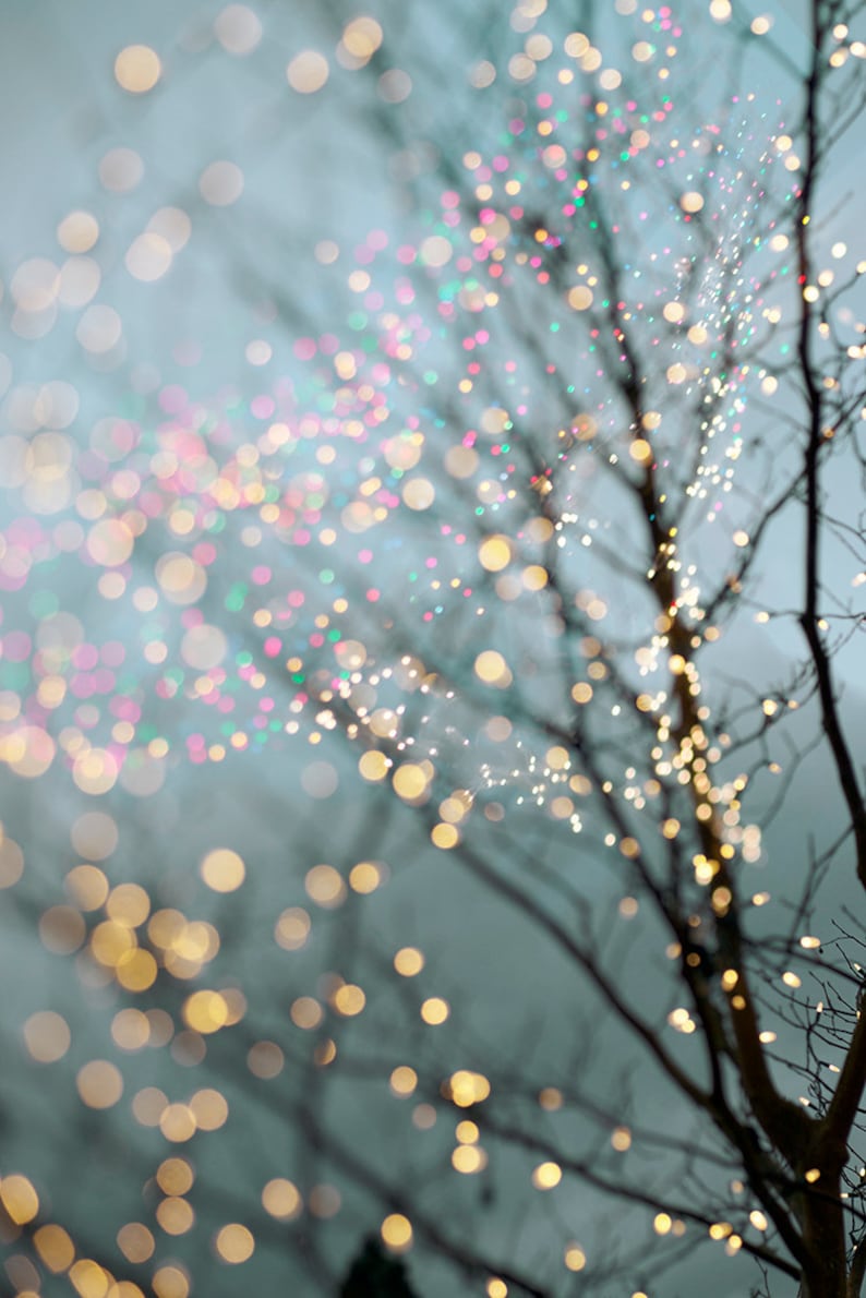 Winter Photography  Holiday Fairy Lights in Trees Festive image 0