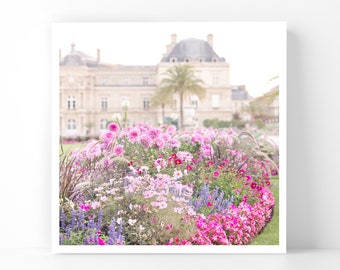 Paris Photography - Pink Dahlias at Luxembourg Garden, 5x5 Paris Fine Art Photograph, French Home Decor, Wall Art, Gallery Wall
