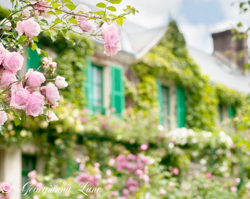 France Photo Monet's House, Giverny, Roses and Teal Shutters, Wall Decor, Romantic Floral Fine Art Travel Photograph image 2