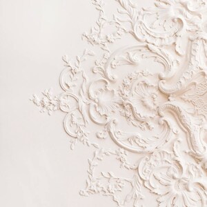 May include: White ornate plaster molding with a floral design. The molding is on a white wall.