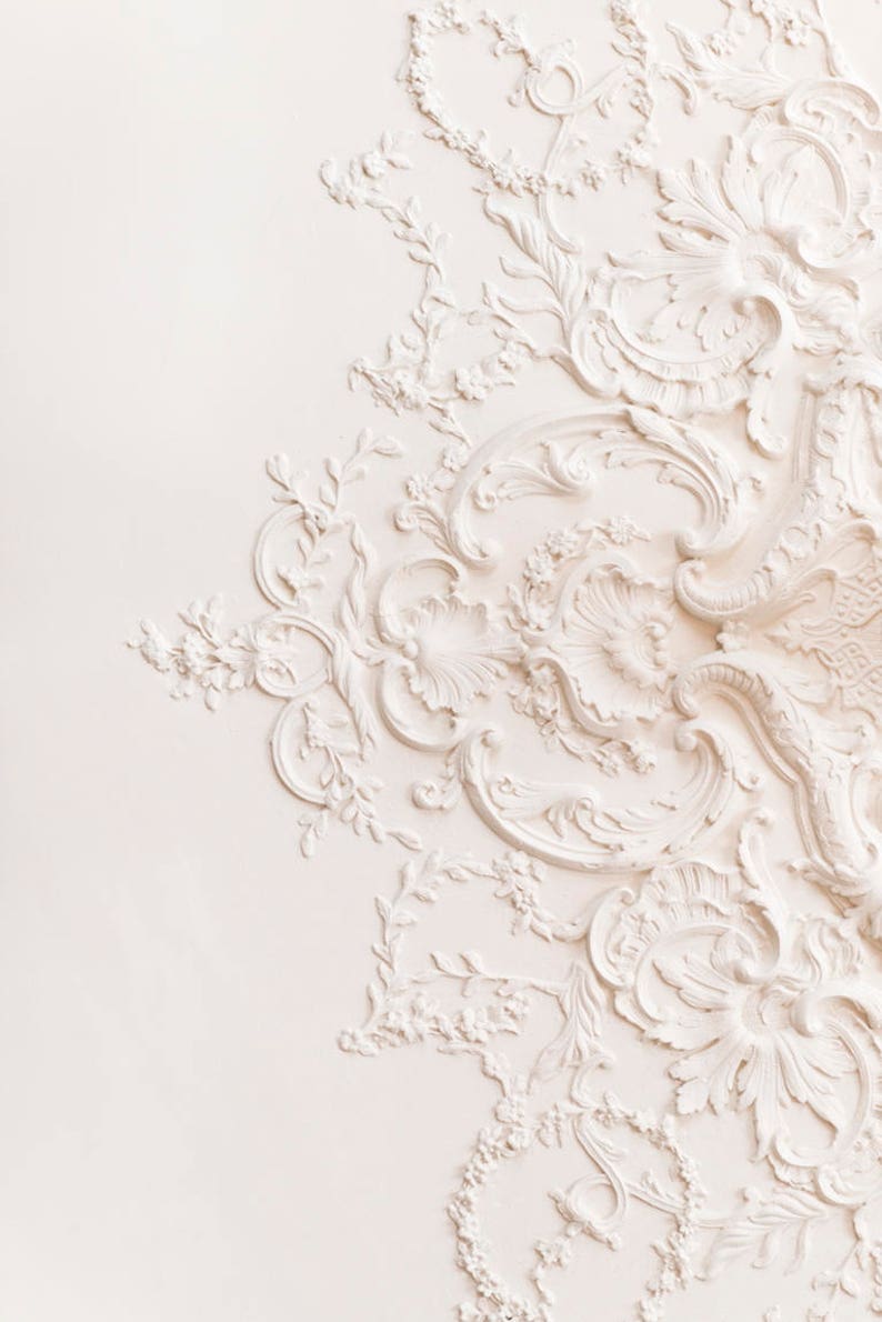 May include: White ornate plaster molding with a floral design. The molding is on a white wall.