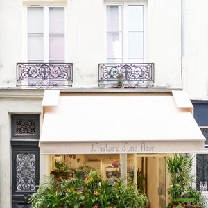 May include: Exterior of a flower shop with a cream-colored awning and the text "L'histoire d'une fleur." The shop features a variety of potted plants and bouquets in metal buckets. The building has windows with wrought-iron balconies.