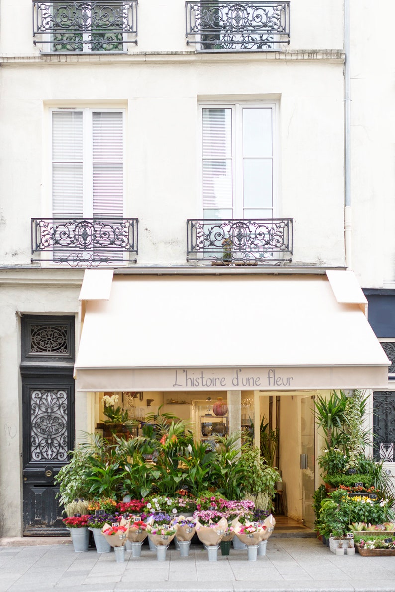 May include: Exterior of a flower shop with a cream-colored awning and the text "L'histoire d'une fleur." The shop features a variety of potted plants and bouquets in metal buckets. The building has windows with wrought-iron balconies.