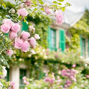 France Photo Monet's House, Giverny, Roses and Teal Shutters, Wall Decor, Romantic Floral Fine Art Travel Photograph image 3