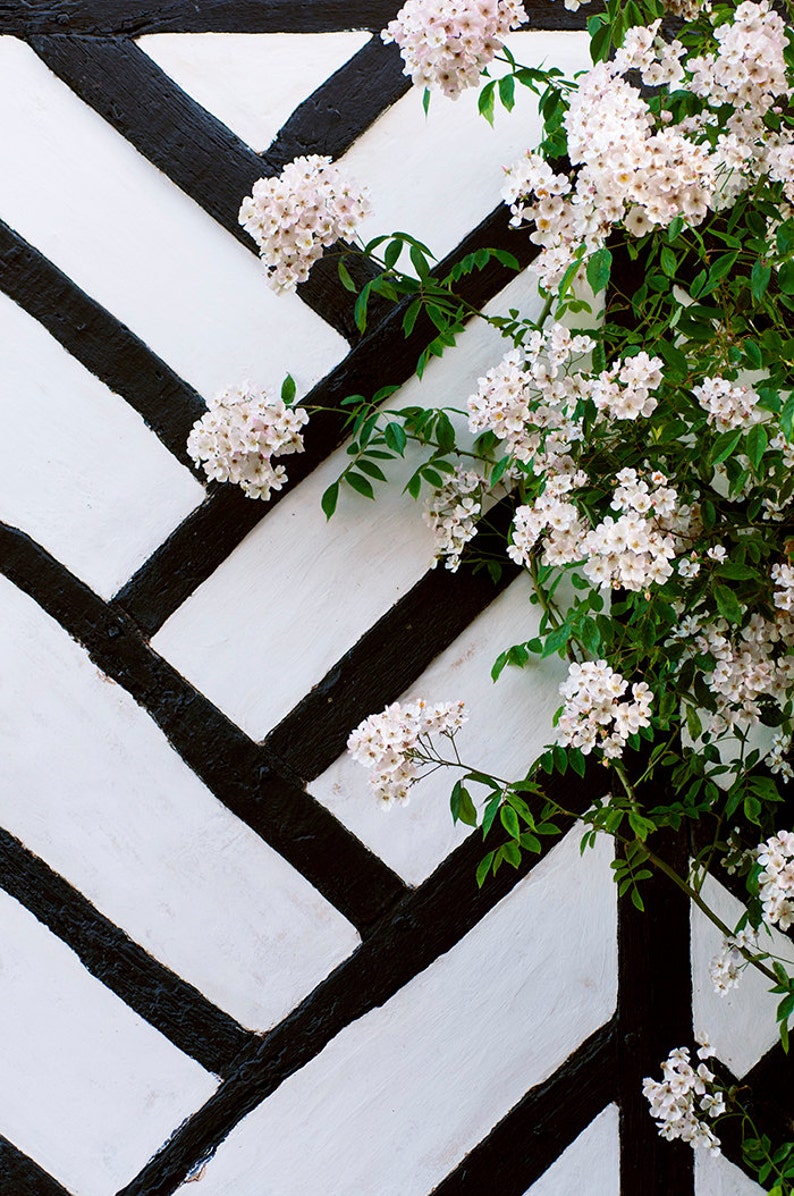 French Country Photograph, Cottage Wall, Romantic Home Decor, France Travel Photograph, Large Wall Art image 1