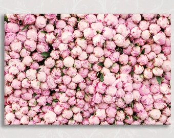 Paris Photo on Canvas, Peony Season, Printed on Gallery Wrapped Canvas, Large Wall Art, Pink French Home Decor