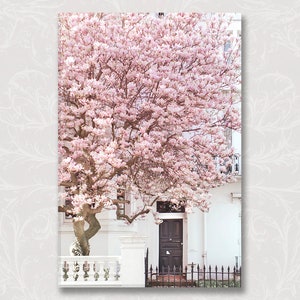 London Photo on Canvas, Magnolia, Notting Hill, Pink Blossom Tree, England Travel Photo, Large Wall Art, Home Decor, London wall decor