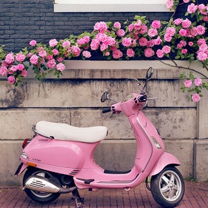 Europe Photography Pink Scooter and Roses, Fine Art Travel Photograph, Nursery Art, Large Wall Art image 3