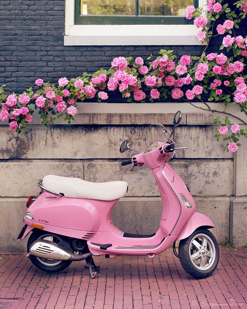 Europe Photography Pink Scooter and Roses, Fine Art Travel Photograph, Nursery Art, Large Wall Art image 3