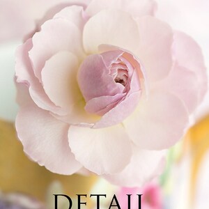 Flower Still Life Photography Rosebud, Roses, Floral Still Life Photo, Romantic Pink Wall Decor image 2