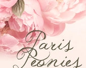 2015 Paris Peony Photo Calendar - Paris Photography, Peonies, 4x6 Desk Calendar, Loose Leaf