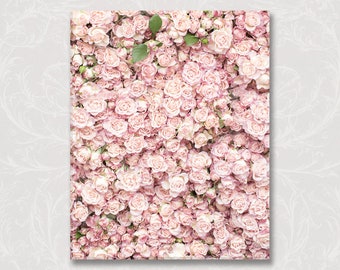 Paris Photo on Canvas, Flower Wall at the Sunday Market, Paris Flower Market, Pink Roses Romantic French Home Decor, Large Wall Art