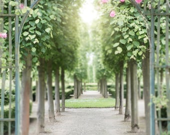 Versailles Paris Photography - Pink Garden Roses, Paris, France Travel Photography, French Country Home Decor, Large Wall Art