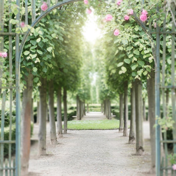 Versailles Paris Photography - Pink Garden Roses, Paris, France Travel Photography, French Country Home Decor, Large Wall Art