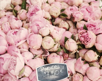 Paris Peony Photograph -  Sea of Peonies, Pink Peonies at the Market, Large Wall Art, Floral French Home Decor