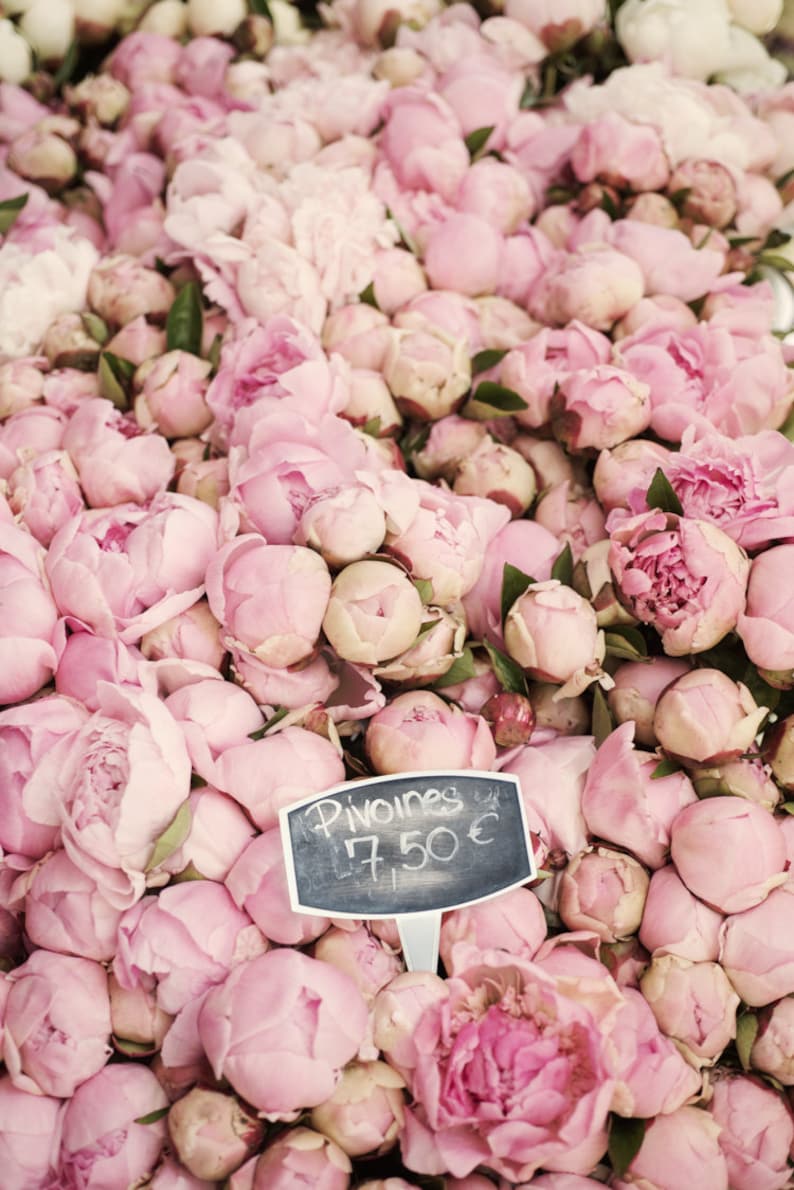 May include: A close-up of a large bunch of pink peonies with a sign that reads "Pivoines 7.50 &euro;".