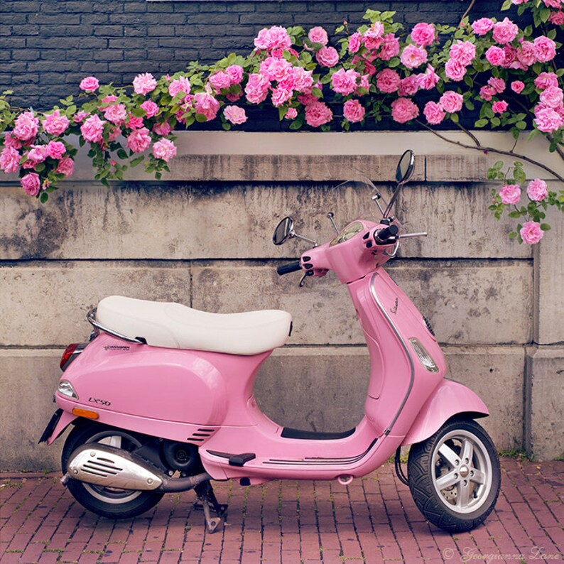 Europe Photography Pink Scooter and Roses, Fine Art Travel Photograph, Nursery Art, Large Wall Art image 2