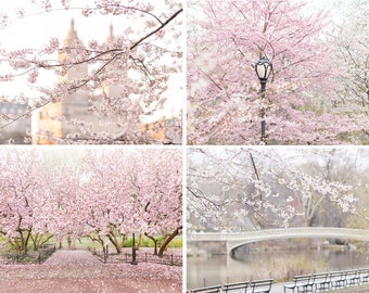 New York City Fine Art Photography Collection – Central Park in Spring, Cherry Blossoms, Horizontal New York Art Print, Large Wall Art