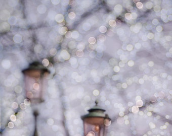 Winter Photography - Fairy Lights, Holiday Lights, Fine Art Landscape Photograph, Large Wall Art