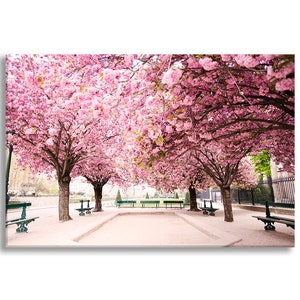 Paris Photo Canvas, Pink Dreams in Paris, Cherry Blossoms Fine Art Gallery Wrapped Canvas, Large Wall Art, French Home Decor