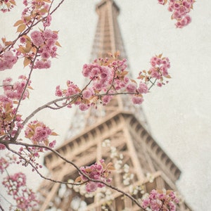 Paris Photography - Eiffel Tower with Cherry Blossoms, Spring in Paris, Travel Fine Art Photograph, Large Wall Art