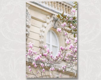 Paris Photo on Canvas, Magnolia Blossoms at Window, Gallery Wrapped Canvas, Large Wall Art, French Travel Home Decor