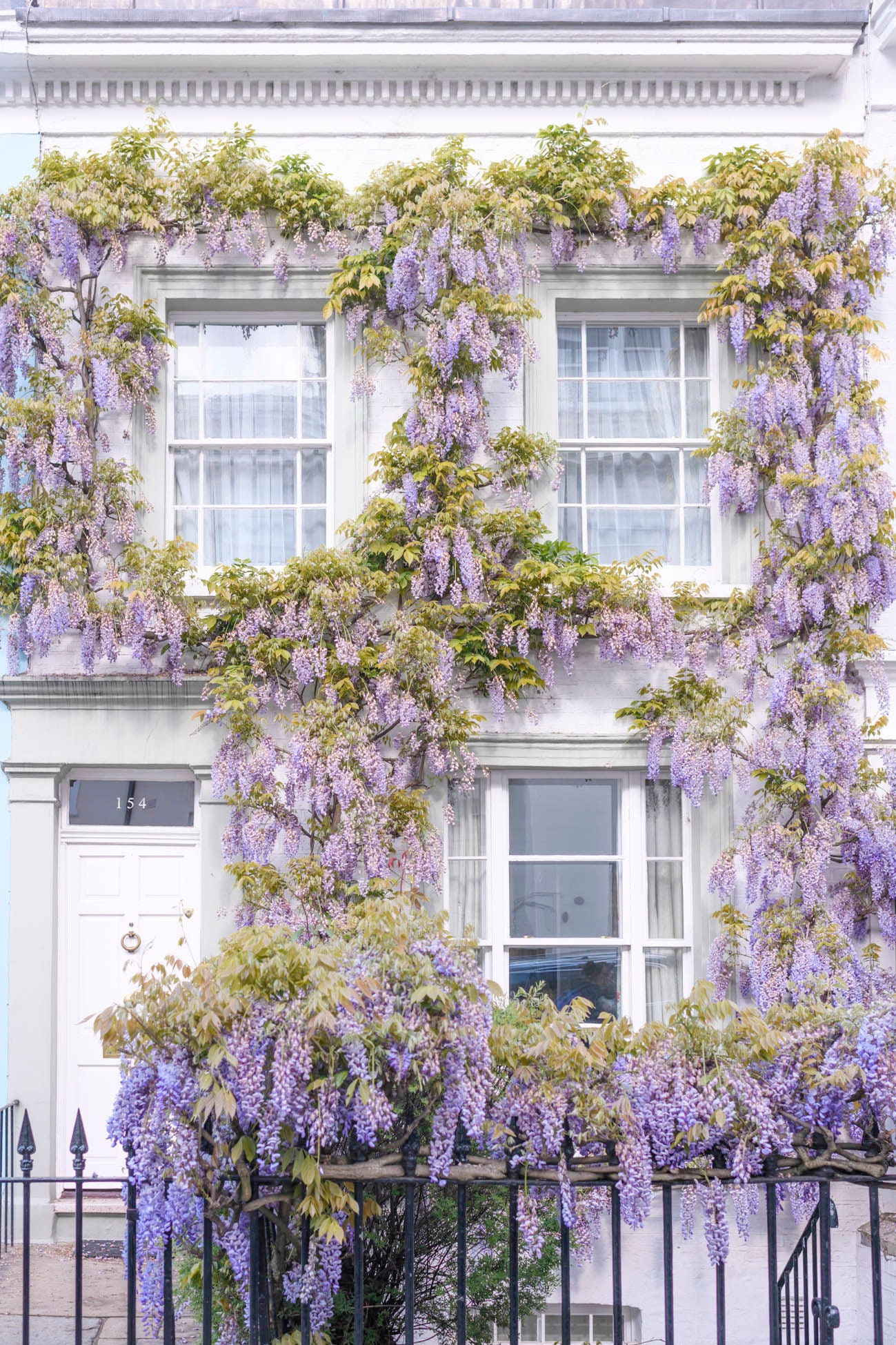 London Photography - Wisteria Cottage in Notting Hill, Spring in London,  Purple Blossoms, England Travel Decor, Large Wall Art, Gallery Wall - Etsy  Ireland