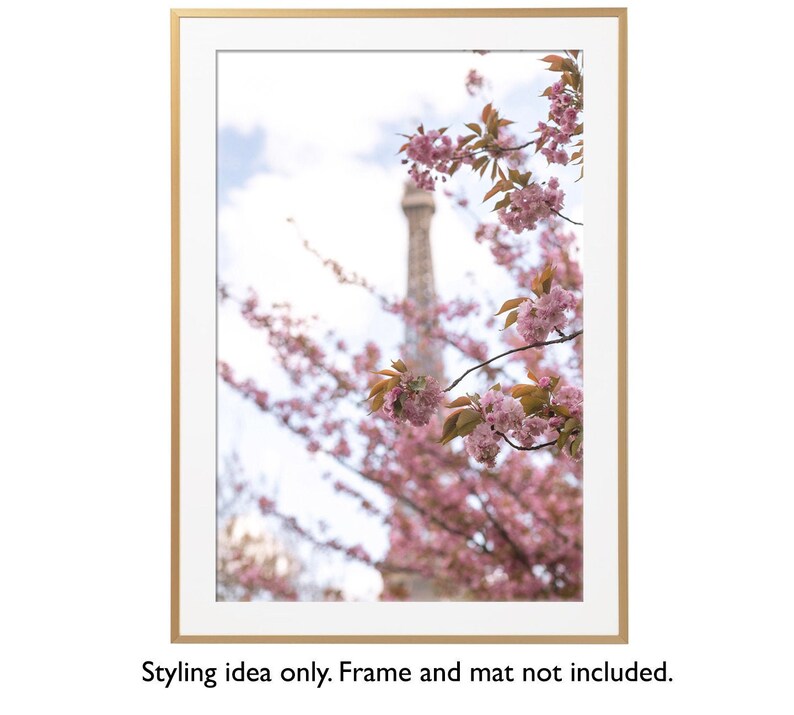 May include: A photograph of the Eiffel Tower in Paris, France, with pink cherry blossoms in the foreground.