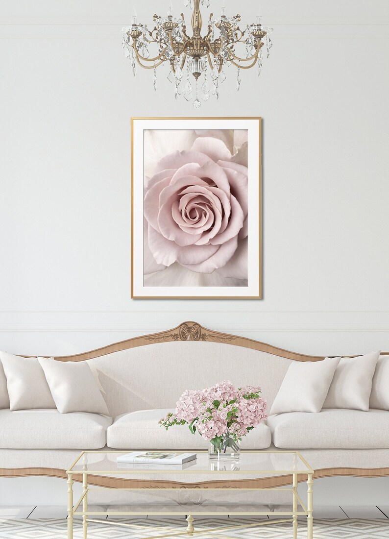 Peut inclure: Une photographie rapproch&eacute;e d'une seule rose rose p&acirc;le avec une texture douce et velout&eacute;e. La rose est nette, tandis que l'arri&egrave;re-plan est flou, cr&eacute;ant un effet r&ecirc;veur.