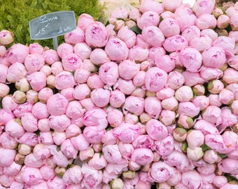May include: A large display of pink peonies, with a sign that reads "Peonies 15 euros la botte".