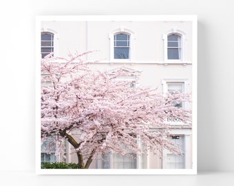 London Photography - The First Cherry Blossoms, Notting Hill, 5x5 London Fine Art Photo, London Home Decor, Wall Art, London Gallery Wall