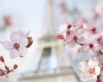Paris Photography -  Spring in Paris, Eiffel Tower with Plum Blossoms, Travel Fine Art Photograph, Large Wall Art