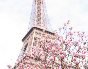 Paris Photography -  Magnolias at the Eiffel Tower, Spring in Paris, Travel Fine Art Photograph, Large Wall Art