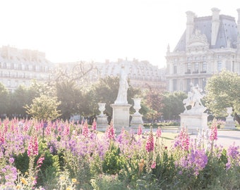 Paris Photography, Sunrise in The Tuileries, Flower Garden, French Fine Art Travel Photograph, Wall Decor