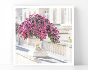 Paris Photography - Pink Mums in Urn, 5x5 Paris Fine Art Photograph, French Home Decor, Wall Art, Paris Gallery Wall