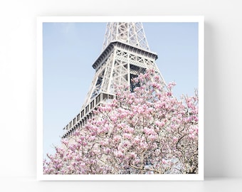 Paris Photography - Magnolias at the Eiffel Tower, 5x5 Paris Fine Art Photograph, French Home Decor, Wall Art, Paris Gallery Wall