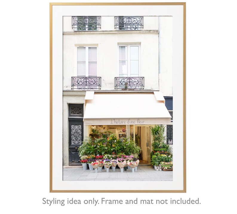 May include: A framed print of a Parisian flower shop, featuring a cream-colored awning with the text "L'histoire d'une fleur." The shop's facade is a light beige, with windows and wrought-iron balconies above. Colorful flowers are displayed in buckets.