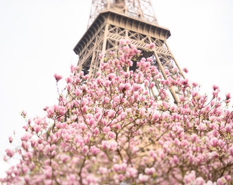 Paris Photography -  Early Magnolias at the Eiffel Tower, Spring in Paris, Travel Fine Art Photograph, Large Wall Art, Gallery Wall