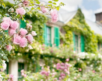 Op de afbeelding: Een close-up van een roze rozenstruik die voor een wit gebouw met groene luiken groeit. De rozen bloeien volop en het gebouw is bedekt met klimop.