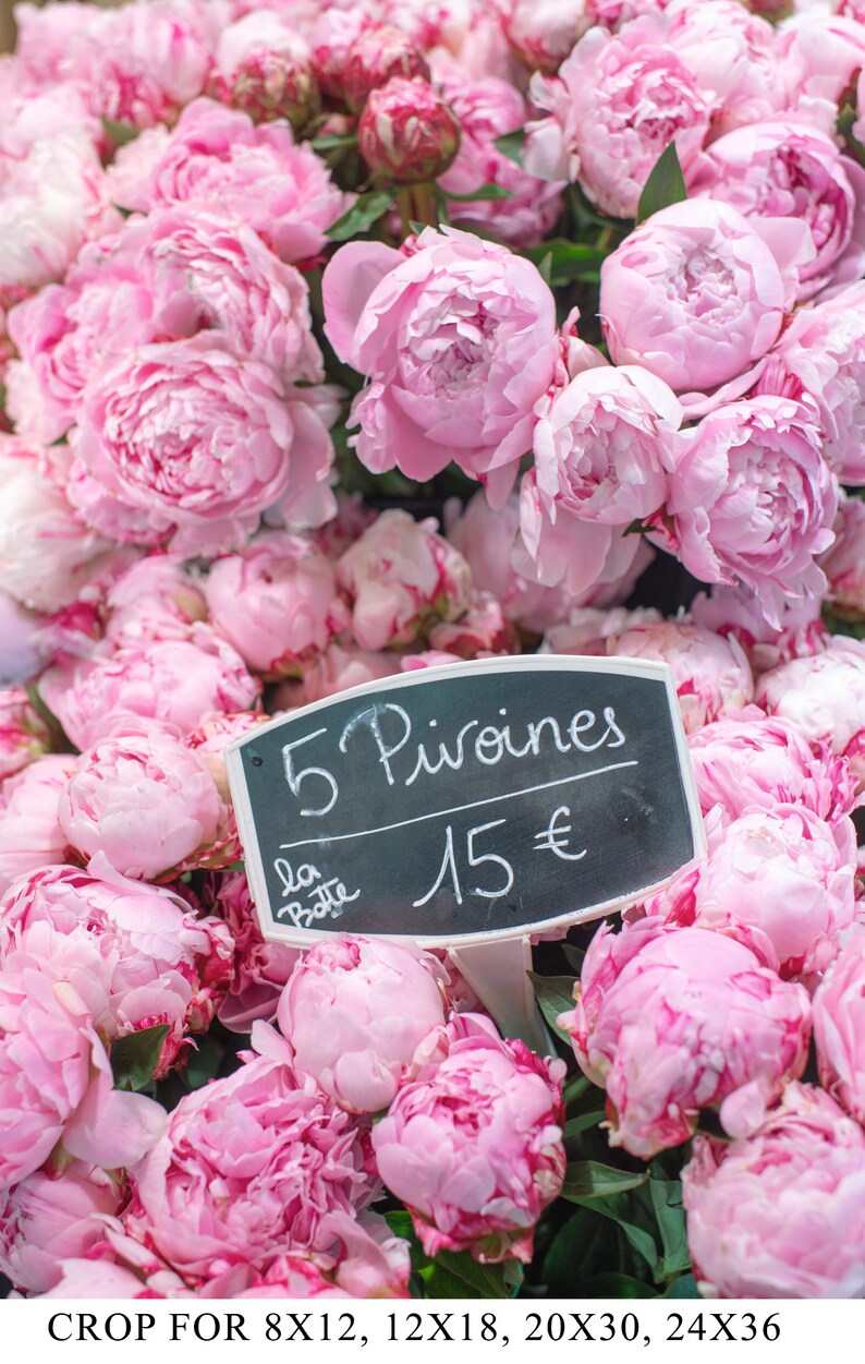 Parispionfotografi - Pionförsäljaren, Vertikal Stor Väggkonst, Resefotografi, Blommig Fransk Heminredning bild 3