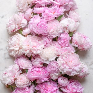 May include: A bouquet of pink and white peonies arranged on a white marble surface. The peonies are in full bloom and have a soft, delicate appearance.
